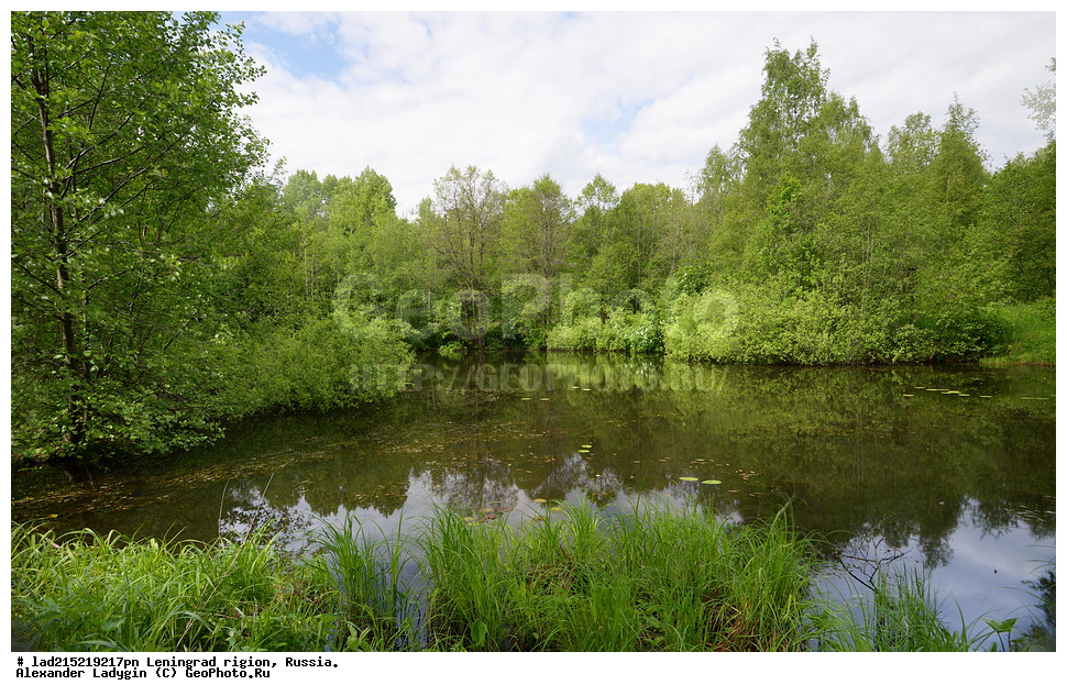  ����, ���������� ����, �������� �������, ������������� �������, ����, ������,  