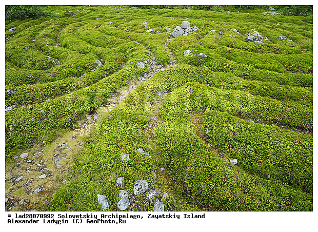 ����� ����, ���������� ���������, ���������� ���������������� ���������, �������, ���, �������, ��������, ��������, ������, ������