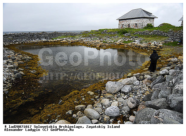 ����� ����, ���������� ���������, ���������� ���������������� ���������, �������, ���, �������, ��������, ��������, ������, ������