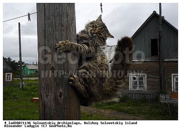 �������, ���������, �����, ���, �����, �����, ����� ������, ���������