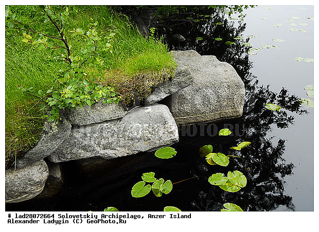 �����, ����� ����, �������, ��������� ����, ���, ���������� ���������, ���������� ���������������� ���������, �������, �������� ����, ������, ����, �����, ���������, �������������, ��������