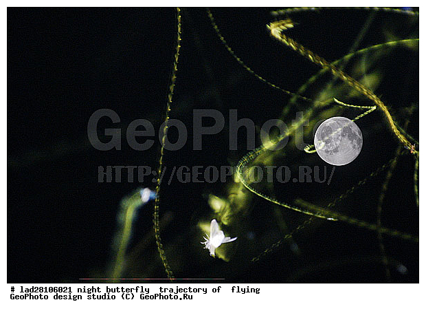 �������, �������, ����, �������, ����, �����, ����, ����������