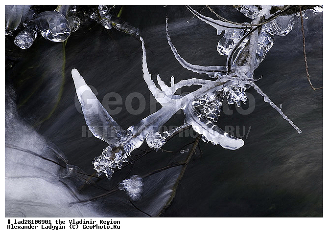 �����, ����, ����, ����, ���, �����, ����������, ��������, ����, �����, �����, ����, �����, �������, �����