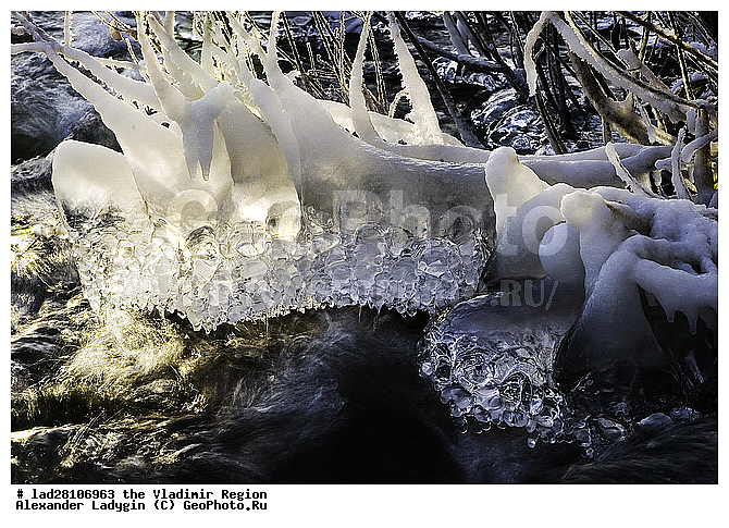 �����, ����, ����, ����, ���, �����, ����������, ��������, ����, �����, �����, ����, �����, �������, �����