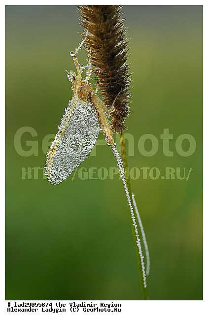 ���, �����, ���������, ����, ��������, ����, ��������������, �������������, ��������������