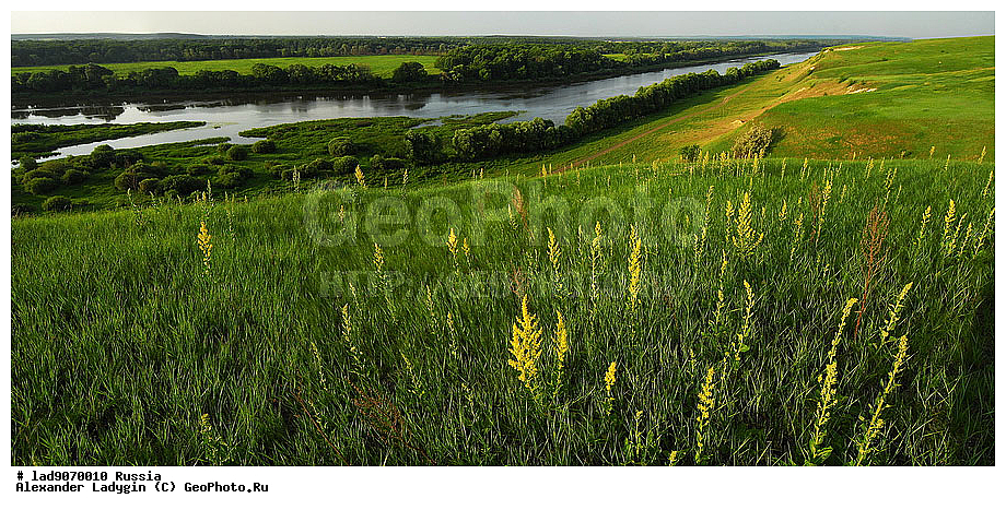 ���, ������, ���, ��������, ������������, ����