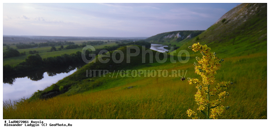 ���, ������, ���, ����