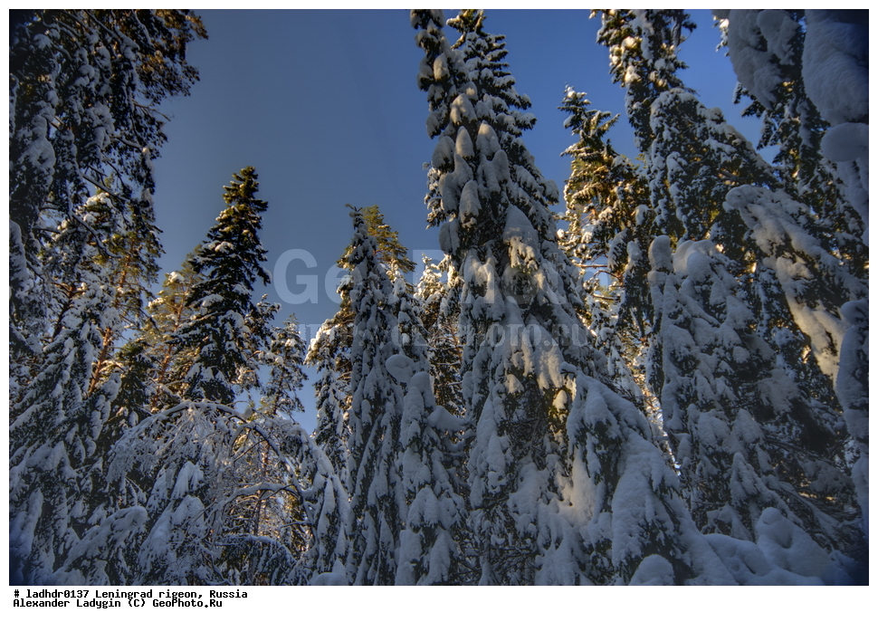 ���������� ����, �������, ������������� �������, ������, �������� ��������� ������� ����, ������ ��������, ������������ ��������, ������������ ��������, ���������� ��������, �����, ��������������� ��������� ��������, ����, ���, �����, ���, �������