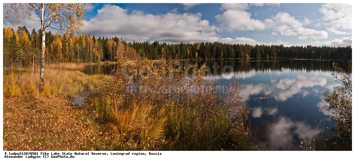 �������, ��������������� ��������� ��������, ����� �����, ������������� �������, �����, ��������, ���, �����