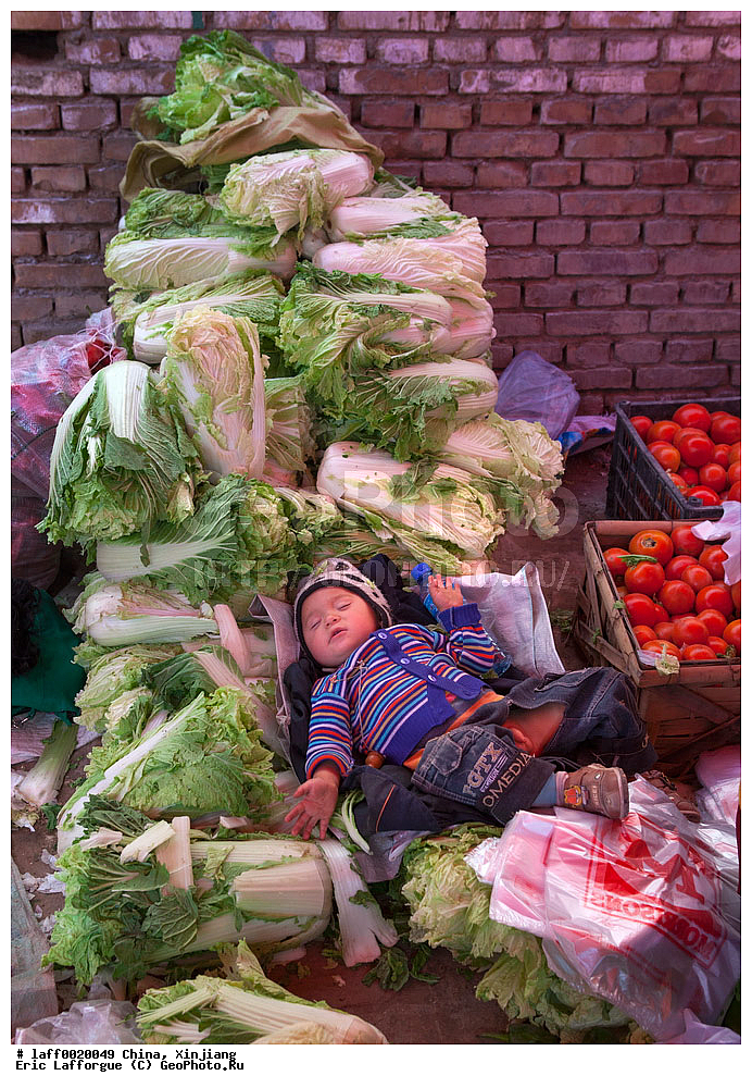 ������������, ���������, Box, ������ �����, �������, �����, ���������, ���� �������, ���� �����������, �������� ���, ����, ���� �����, ���� ������, ����, ��������� � ����������� ����, ���������� ������, ���������� ��������������, ��� � �������, ����� ��������, Img , �����, �����������, �����������, Ouigour, ��������, �������, ����, ���� ���������� �����, ����, �������, �������� ����, ��������, ����������, �����, ���������, ������, �����������, ��������, �������� ���������� ���������������, ���������, ���������, ������������, ��������, ��������-��������� ���������� �����, ��������