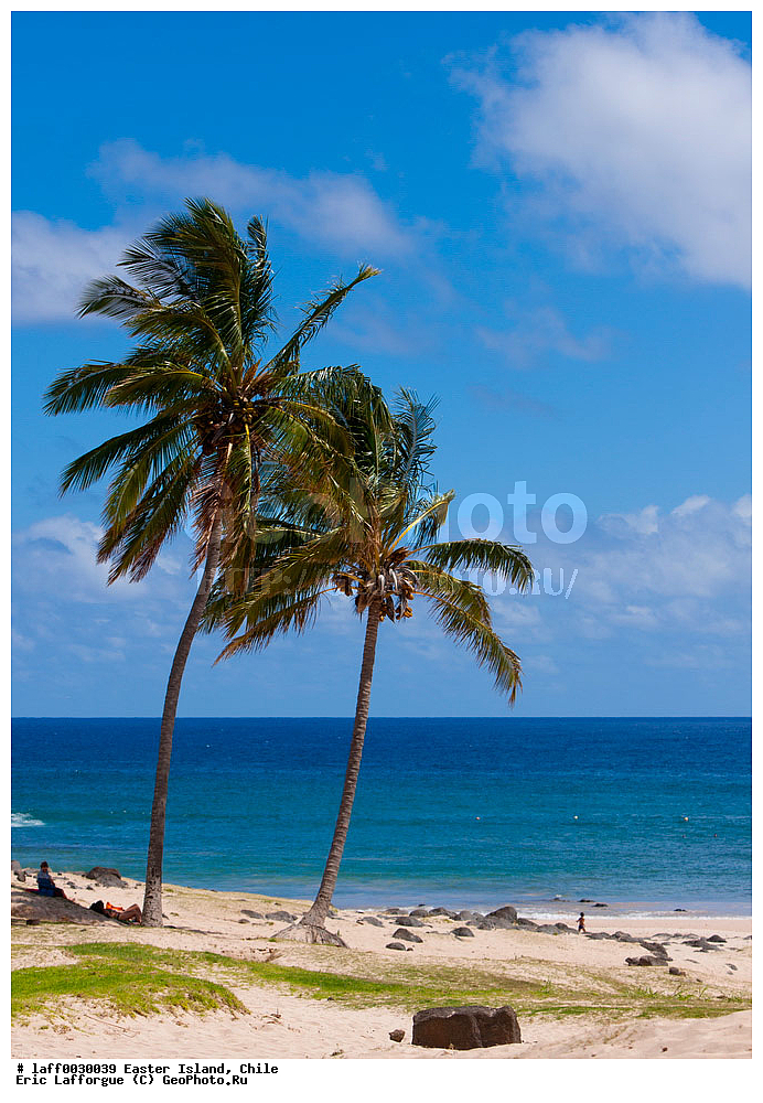 ����, ��������� ���������, ����, ���� ����, ����, ����, ������ �����, �����-���, �������, ���� �� ������, ������, ��������� �������, ������ ������, ������ ������, ������, ��������� ������, ������������� �������, ������������� �����������, ����-���, ����-���, �����, ����, ����� �������, ����� ����� ������ ������, ���-��������� ����� ������ ������, ����, ������, �����������, ����������� ������, ������������, ���������� ��������, ����� �������� ����