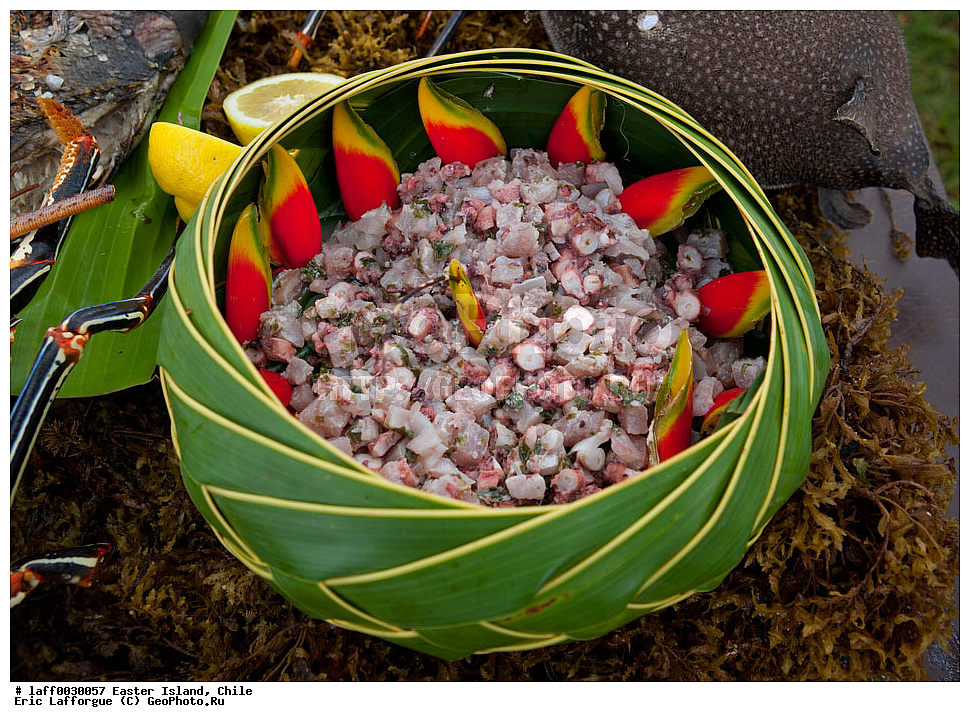 Cerviche, ����, ��������� ���������, �����, �����, ����� ����, ����, ������ �����, ���������, ���, �����-���, ��������������, ���� �� ������, ��������� �������, ����� ���, �����, ������ ������, ������������� �������, ������������� �����������, ����-���, ����-���, ����� ����, ����� �������, ����� ����� ������ ������, ���-��������� ����� ������ ������, ���������� ��������