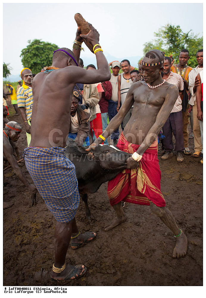 ���������, ������� ������, ������, ������ ���������� ��������������, ������ ����, ����, Me'en, ����, ���������, ������� ����������, ������, ������ , ��������� ������, �������, ������ ���� ��� �������, ���������, �� �������� �������, ����, ���� �����, ������, �������, �������, �������� �������� �������, ����, ��������, ������� ������ �����, �������, �������, �����, Murzu, ����� ���, �������, ������ ���� ���, ��������, ����, ����������, ����������, ������, ����, ������, Sacrifying, ����� �������, ��� ��������������� � ������� ������������, ���������, �������, �������� �������, ������������, �������, ��� ������� �������