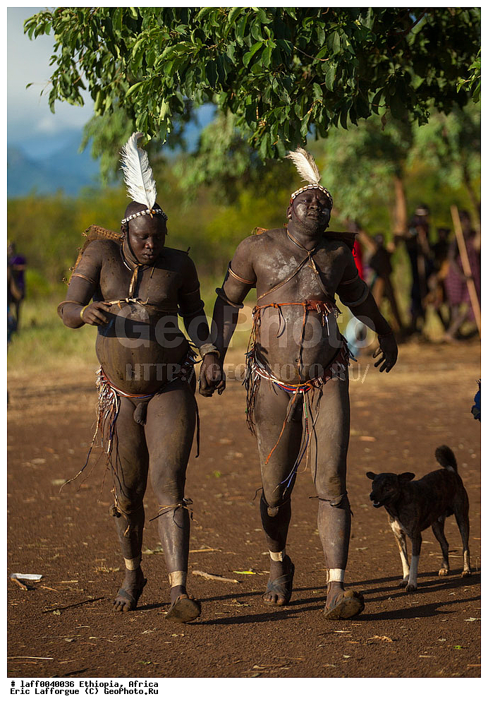 ��������, ������, �����������, ������ ���������� ��������������, ������ ����, ������ ����, ����, Cauris, ������������, ���������, ���������, ������� �����������, �������� �������� �����, ����, ��������� ������, �������, ��������� ���������� ��������������, ��������� ��� ������, ���, ��� ������� �����������, ���� �������� ����, ���������, ������ �����, ����, ���� �����, �������� �����, ������������ ����, �������� �������� �������, ���, ����, Me'en, ����, �������, �������������, ����� ���, ��������, ������ ���� ���, Omo , ��������, �� ���������� �������, ������, �� �������� �������, ����, ����������, ������, ����� �������, ��������, �������, �������, �������� �������, ��� �������, ������������, ������