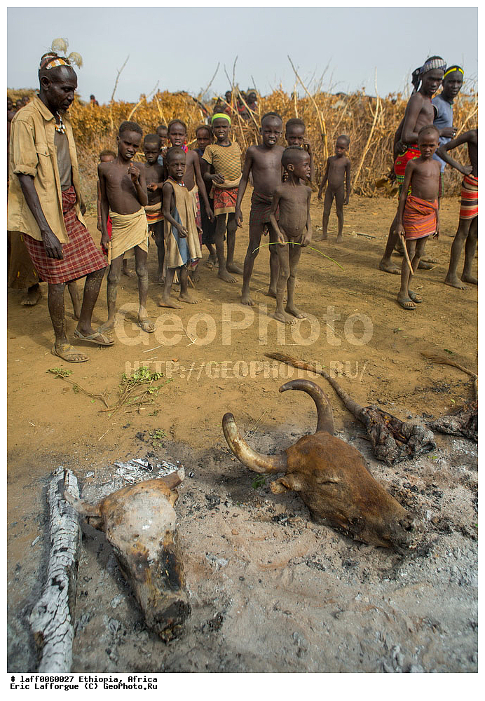 ������, �����������, �������, ������ ����, ���������, ���������, ������� �����������, ������, Daasanach, Daasanech, Dassanach, Dassanech, Dassanetch, ����, �������, ��������� ��������������, ��������� �����, ��� � �������, Geleb, ������� ������, �������, Merille, ��� ������, Omo , ������, ��������, �� �������� �������, ��������� ������ �����, ����, ����� �������, ��������, �������, �������, �������� �������, ������������