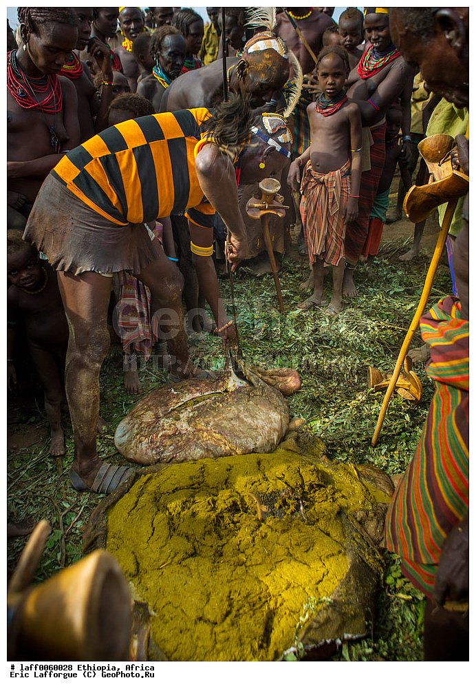 ������, �����������, ������ ����, ���������, ���������, ���� �����������, ������, Daasanach, Daasanech, Dassanach, Dassanech, Dassanetch, ����, �����, �������, ��������� ��������������, ��������� �����, Geleb, ������� ������, �������, Merille, ��� ������, Omo , ������, ��������, �� �������� �������, ��������� ������ �����, ����, ����� �������, �������, ��������, �������, �������, �������� �������, ������������