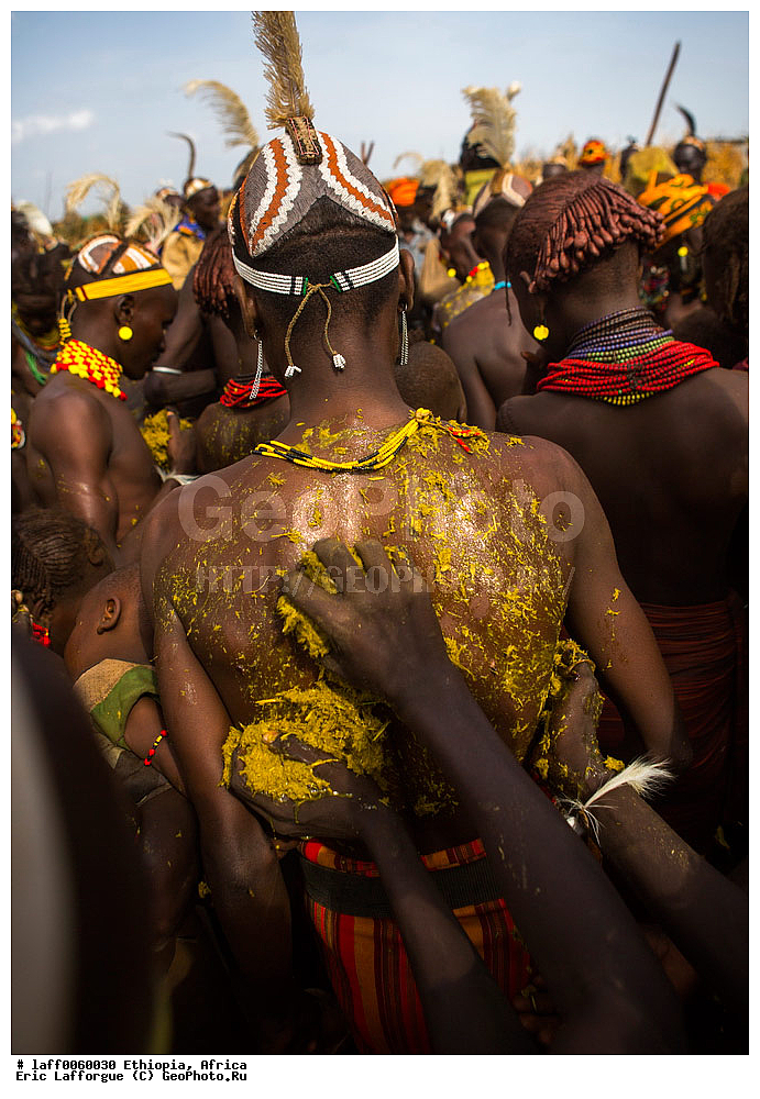 ������, �����������, ������ ����, ���������, ���������, ���� �����������, �����, Daasanach, Daasanech, Dassanach, Dassanech, Dassanetch, ����, �����, �������, ��������� ��������������, ��������� �����, �������, Geleb, �������� �����, ������������ ����, ������� ������ �����, Merille, ������ ���� ���, Omo , ������, ��������, �� �������� �������, ��� �����, ����, ����� �������, �������, ��������, �������, �������, ������ ����, �� �������������� ����, ������������, �������