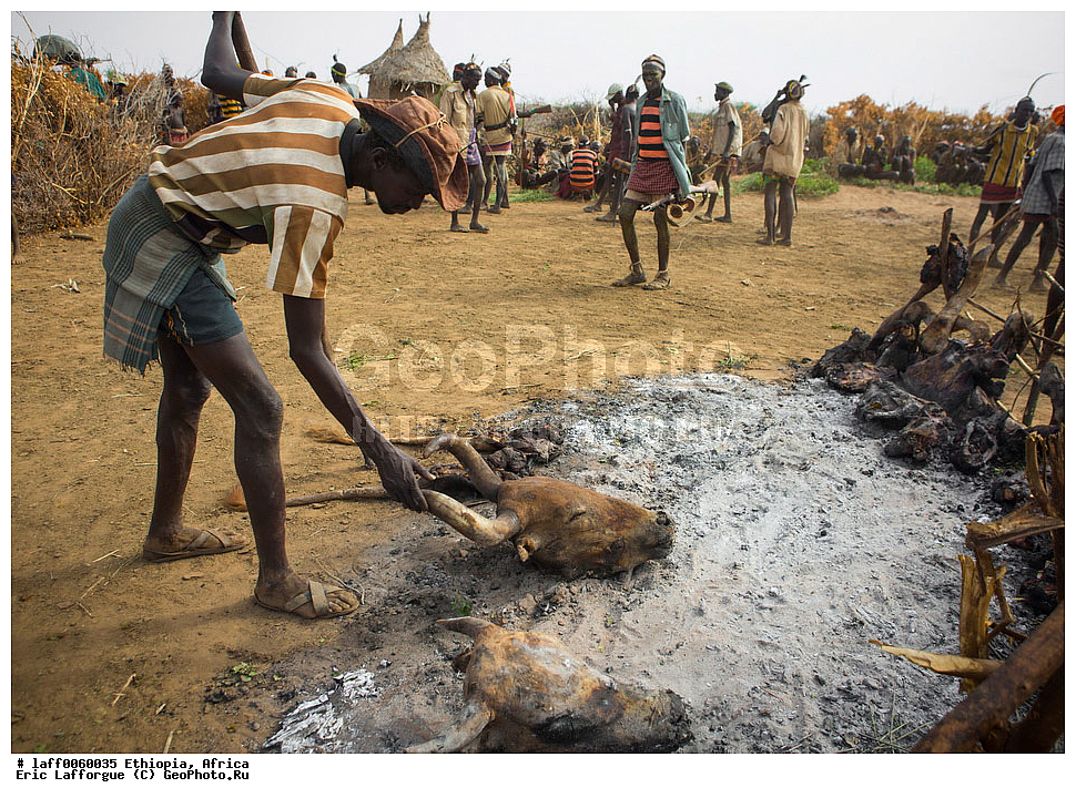 ������, �����������, �������, ������ ����, ���������, ���������, ������� �����������, ������, Daasanach, Daasanech, Dassanach, Dassanech, Dassanetch, ����, �������, ��������� ��������������, ��������� �����, ��� � �������, ������ �����, Geleb, ��������������, ������� ������, �������, Merille, ������ ���� ���, Omo , ������, ��������, �� �������� �������, ��������� ������ �����, ����, ����� �������, ��������, �������, �������, ������, ����