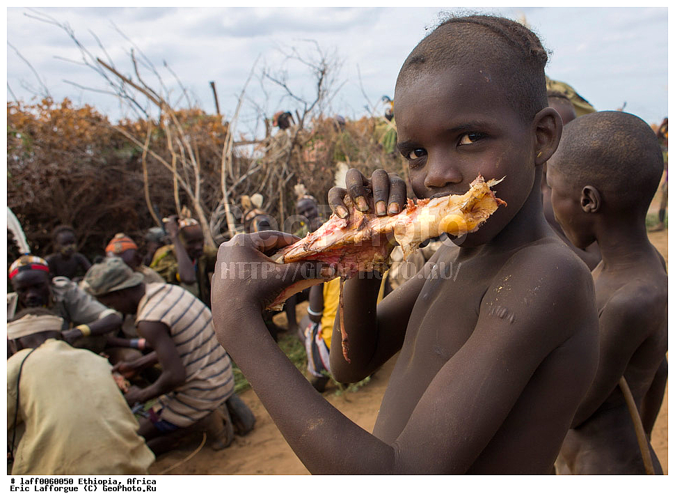 ������, �����������, ������ ����, �����, ���������, ���������, �������, ������� �����������, ������, �����, Daasanach, Daasanech, Dassanach, Dassanech, Dassanetch, ����, �������, ��������� ��������������, ��������� �����, ��� � �������, Geleb, ��������������, ������������ ����, ������� ������ �����, ����� �� ������, ����, Merille, ��������� ���������� ��������, ������ ���� ���, Omo , ������, ��������, �� �������� �������, ����, ����� �������, ��������, �������, �������, ������ �����, �����