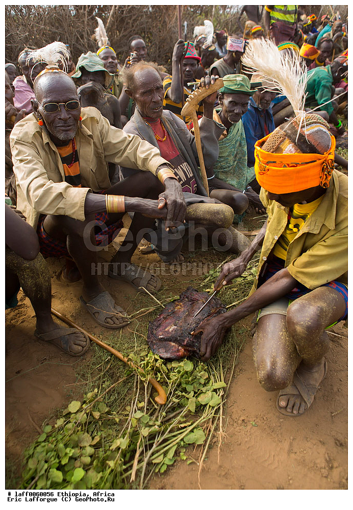 ������, �����������, ������ ����, ���������, ���������, ������� �����������, ������, Daasanach, Daasanech, Dassanach, Dassanech, Dassanetch, ����, �������, ��������� ��������������, ��������� �����, ��� � �������, Geleb, ������� ������, ����, �������, Merille, ��� ������, Omo , ������, ��������, �� �������� �������, ����, ����� �������, ��������, �������, �������, �������� �������, ������������