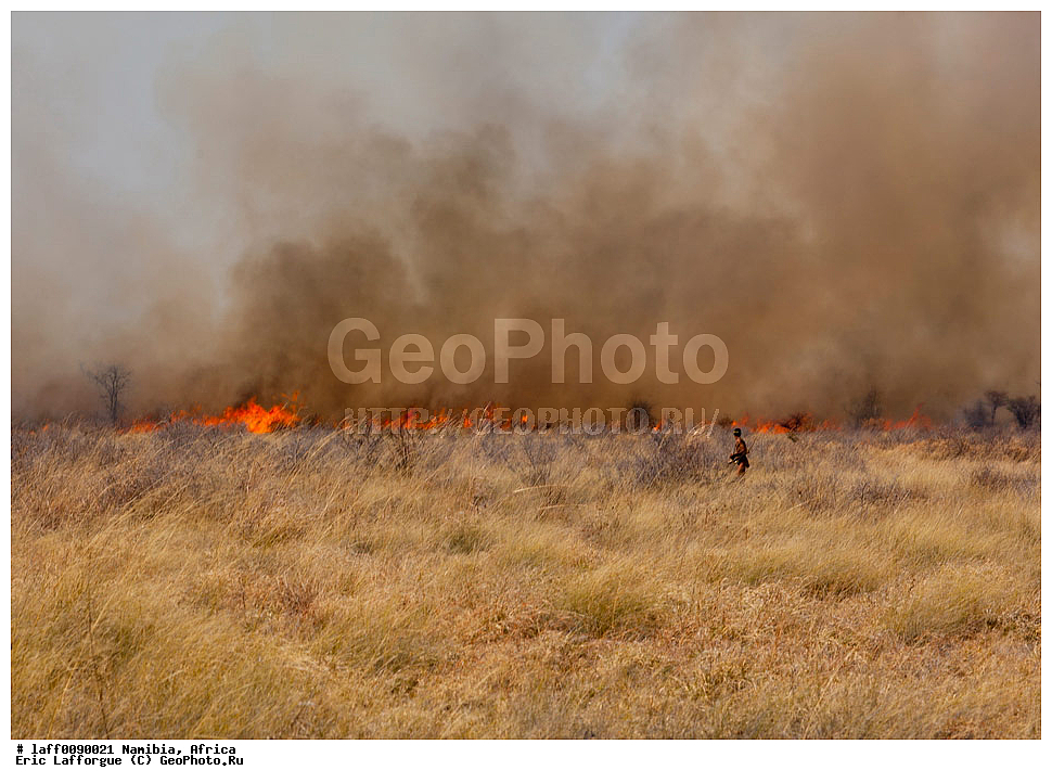 , ������, ����������, �������, ����������, �������, ���, ����� ����� ������, ���, ������� ����, ���������� ������, ���������, �����, ��������������, ������������ ��������, gatherer ��������, �� �������� �������, �� ���������, ����, ����, ����, �������, �������