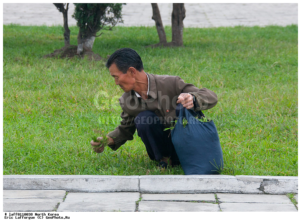 ����, ����, ��������� ��������������, �����, ���� ����������, ����, �������, ����, ������ �����, ���, �����, �����, �������, �����, �������, ������, ������ ������, �������� ���������, ���������, Nk , �������� �����, ����, ���� �������, ������ ���� �������, ����, ����������, ����������, ���������, �������� ����, �����������, ��������, ������, �������