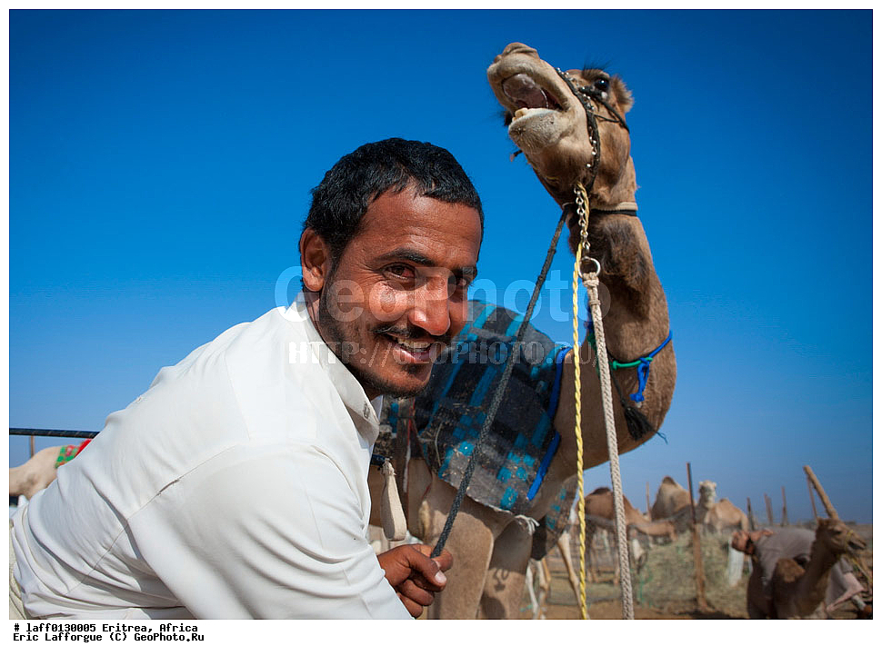 �������, ������, Rashaidas