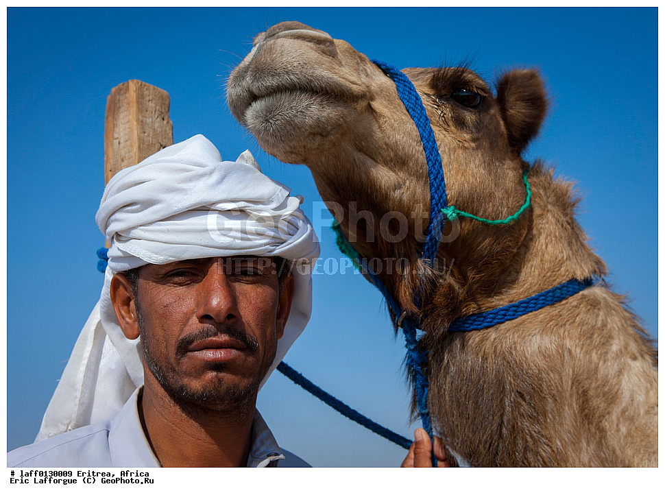 �������, ������, Rashaidas