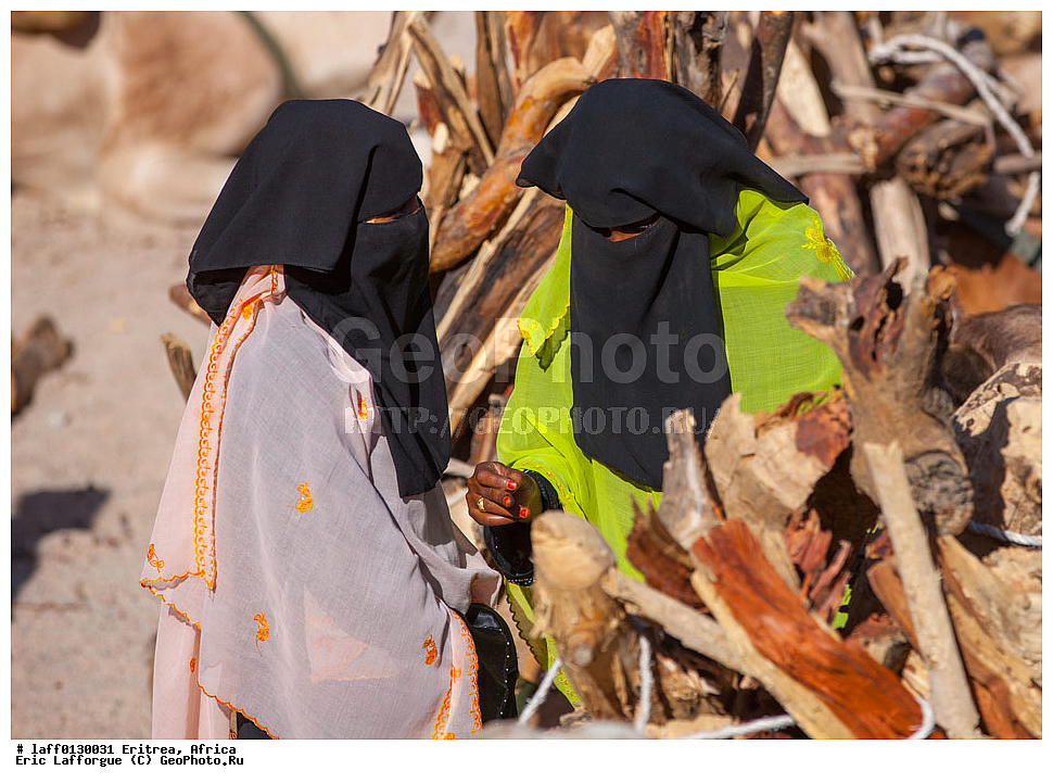 ��������, ���������, ������ ��� ��������, ������, ����������� ��������� ������, ����������� ���������� ��������������, ��������, �������, ��������� �����, ����� dromedaris, Charen, Cheren, ��������� �����, ����, ���� �����������, ����, ������� �����������, ���� ����������, ����, Dromadaire, Dromedary camel, ��������� ������, �������, �������, Ert , Ertra, �����, ������, ��������������, ������� ������, ����������� ������������ �������, ����������� �������, �����, �����, ����, �����, �������������, ��������, �� �������� �������, ����������, �������� ����, ����������, ���, ��������, ������������ ������, ������������ ��������, �����������, ���� �����, �����, ������, ������, �������� ��������