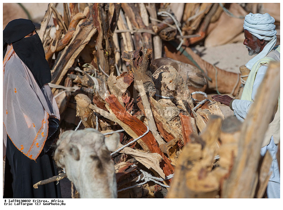 ��������, ���������, ������ ��� ��������, ������, ����������� ��������� ������, ����������� ���������� ��������������, ��������, �������, ��������� �����, ����� dromedaris, Charen, Cheren, ��������� �����, ����, ���� �����������, ����, ������� �����������, ���� ����������, ����, Dromadaire, Dromedary camel, ��������� ������, �������, �������, Ert , Ertra, �����, ������, ��������������, ������� ������, ����������� ������������ �������, ����������� �������, �����, �����, ����, �����, �������, ����������, ��������, �� �������� �������, ����������, �������� �����������, �����, ���, ������������ ������, ������������ ��������, �����������, ���� �����, �����, ���������, ������� ��������