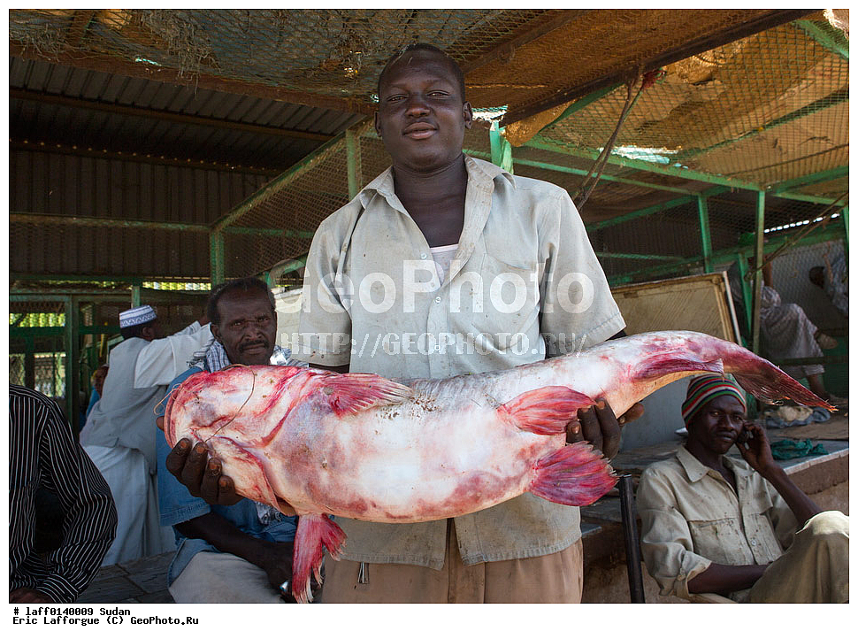 ������, �����, ���� �����������, ����, ��� , ����, ��� � �������, ���������� ����, ��������������, ������, �����, ��� �����, ���� ���, �������� �����, �������� ������, ��������� ������, �������� ������, ��������, �� �������� �������, ����������, ���, �����, ���, ����������� �����������