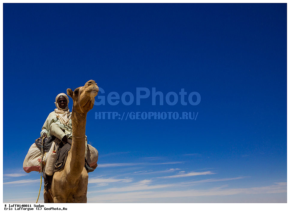 ����, �����������, ������, �����������, ��������, ����, ���������� ������, �������, ������� �����, �������, �������� �����������, ����� ������������, ����, �������, ������������� �����, ��� , Extreme, ���������� ����������, �����, �����, ������, ������, ��������������, �������� �������� �������, Jalabiya, ����, ����� �� ������, �������, ���������, �������� ������, �������� �����, �������� ������, �������� �����, ������ ���� �������, ���� �������, �� �������� �������, ����������, �������� ����, ����������, �������� ����, ������� ������������, ����, �����, �������, ������������ ������, ���������, �����������, ������, ������, ����� �������, ����� �������