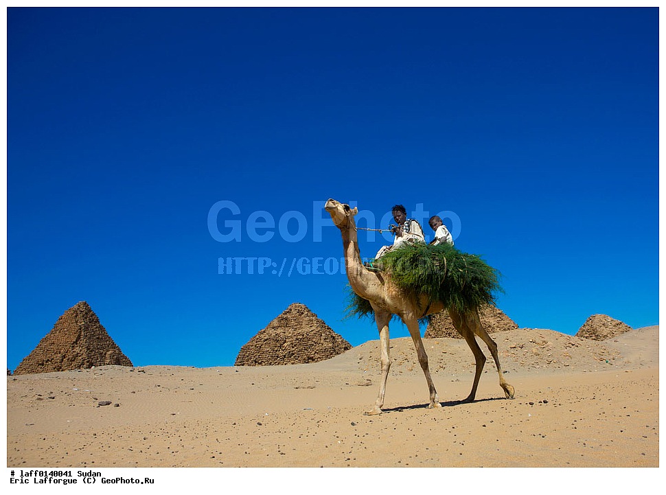 ��������, ������, �������, ������� �����������, ����������, ���������� ������, ������ �������, �������, ��������, �������, ����� ������, �������� �����������, ����� ������������, ����, �������, ���������� ��������, ��� , ��������� �����, ������ �����, �������, ��������������, Jalabiya, ������, ����� �� ������, ������ ���� ������, ������, ���������, �������� ������, �������� �����, �������� ������, �������� �����, �����, ����, ������ ��������, �� �������� �������, ����������, ���������� ���������, ����� �����������, ���������������, �������� ����, ���, ��� ������������, �����������, ������ �������, �����, ����, �����, ���������, ����, �������, ������������ ������, ��������� �����, ���������, �����������, ����������� �����������, ��� ��������, ���������� �������� ������