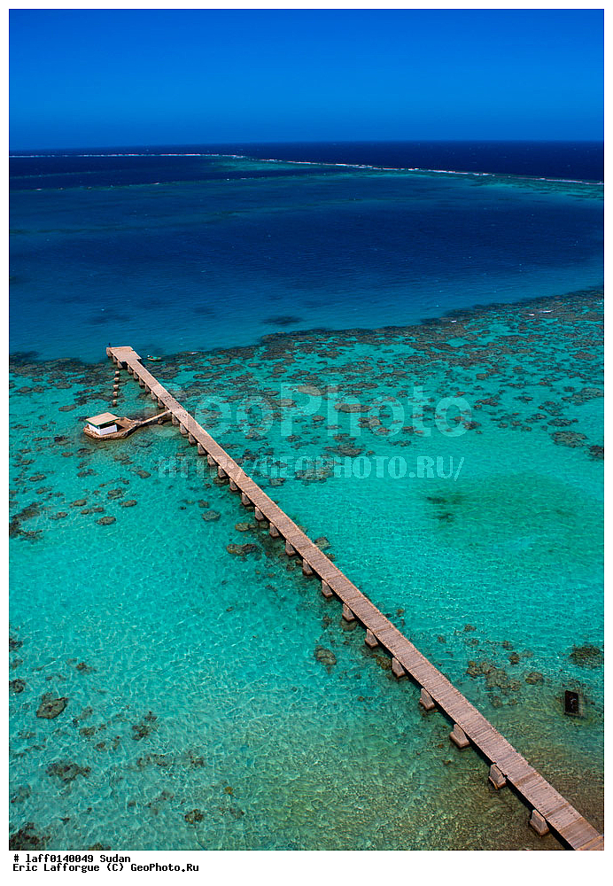 ��������������, ������, ������� � �������, �����, ���� �����������, ����, ��� , ������ �����, �������� �� ���� ���, �������, ������, ������, ����, ��������, �������, ��� �����, �����, �������� ������, �������� �����, �������� ������, �������� �����, �� �������� �������, ����������, ������� ����, ���, Scenics, ����, �����, ���������, ��������� �����, �����������, ����������� �����������, ������������, ����