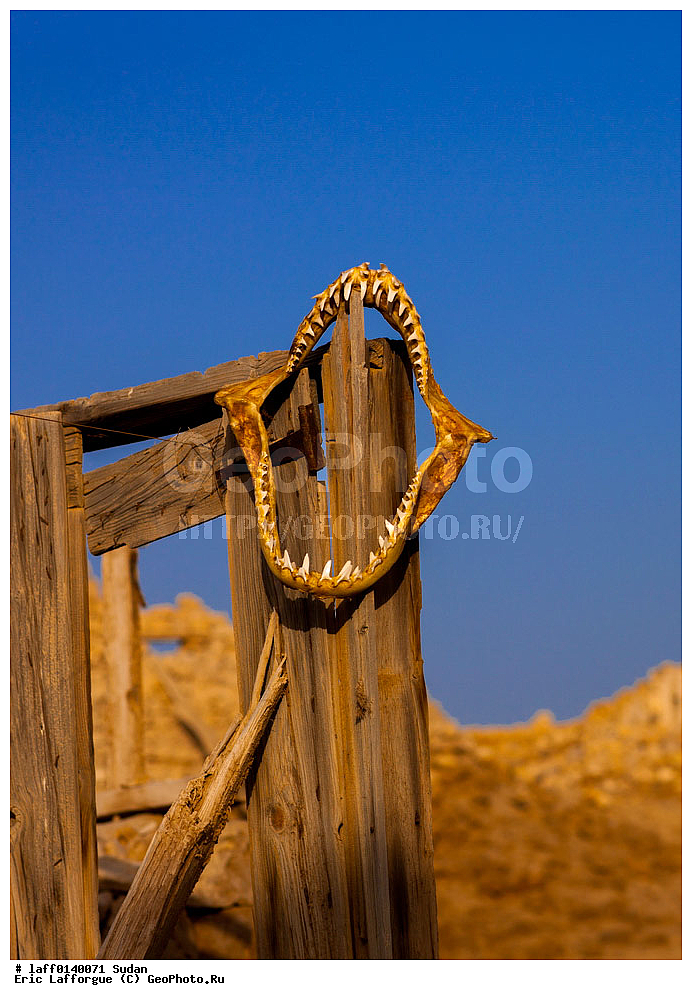 ������, �����������, ������������� ��������, ����������� ���������, ������� �����������, ����������� ������������, ������, ����, Ert , �������, ������, �� �����, �����, �� ��������� �����, �������� ������, �������� �����, �������� ������, �������� �����, ������ �����, ��������� �������, �� �������� �������, ����������, ������� ����, �����������, ��������, �����, ������, �����, ���������, �������, ��������� �����, �����������, ������, ��������, �������� �������������� �������������� � �������� �����������, ��������������� ������ ������, ������������