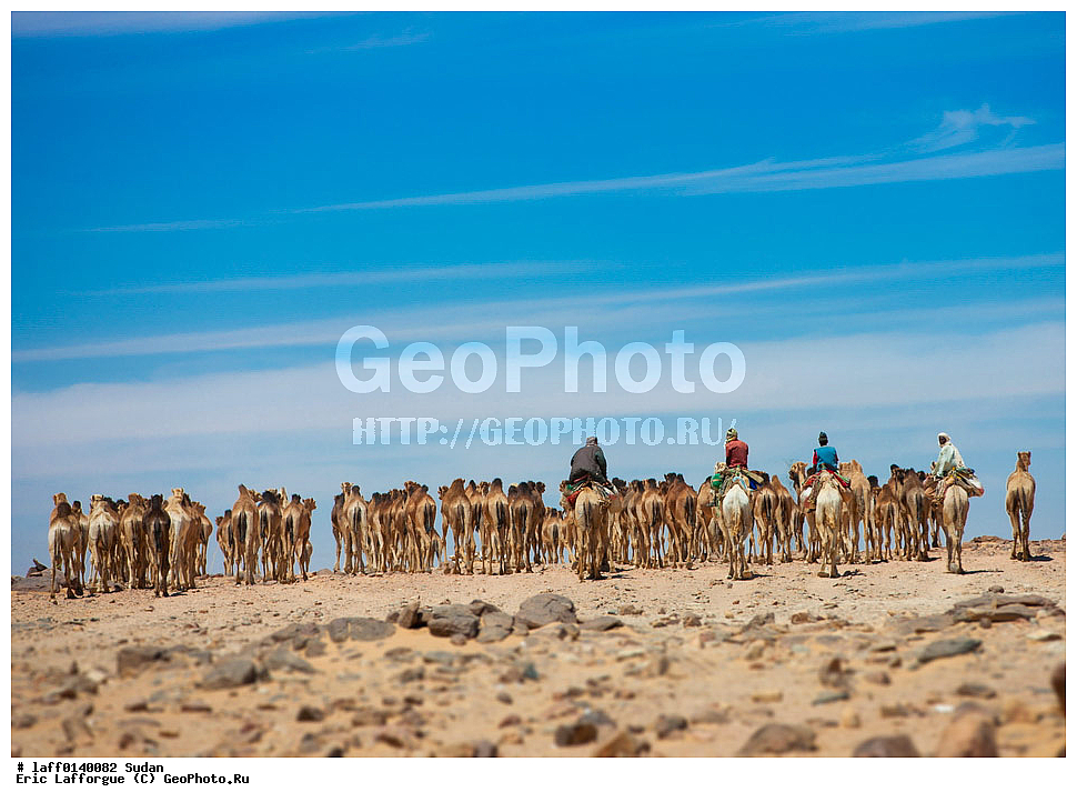 �����������, ������, �����������, ��������, ����, ���������� ������, �������, ������� �����, �������, �������� �����������, ����� ������������, ����, �������, ������������� �����, Ert , �������, ������ �����, ���������� ����������, �����, �����, ������, ������, ��������������, �������� �������� �������, ������� ������ ��������, �����, �����, ���������, �������� ������, �������� �����, �������� ������, �������� �����, �� �������� �������, ����������, ������ ���, �����, �������� �����, ������� ������, ������, ��������� ������ ����������, �������, ��������� �����, ���������, �����������, ������������� ���������, ������, ����� �������, ����� �������