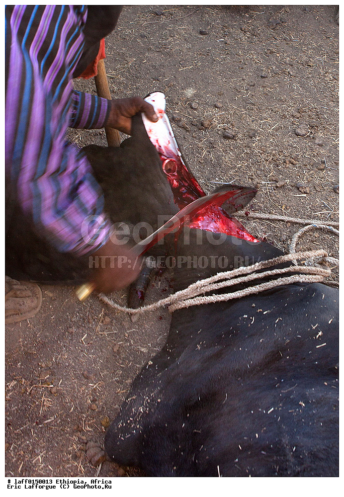 �������, ������, ������������ ����������� �������������, ��������, ���� ������, �����, ����, ����, ������, ����, ������������� ������, ��������� ������, Eth , �������, ���������� ������, Gaada, ����, ���� �������, Gadaa, �����, ������������ ����, �����������, Karrayu, Karrayyu, Kereyu, ���, Man, Metehara, Misraq shewa ����, ��������, ���� �����, ���� �������, ������� ������, �����, ����������, ����, �������� ����, ���, ������������ ������, ������������ ��������, �����������, ��������� ���������������� �������, ������������, Waaqeffata