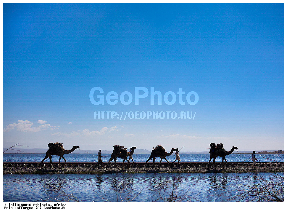 People, ������, ��������, �������� ����, �������, �������, ������� ���������, ����� ���������, ����, ����, ����������� ������������, ����, ������������� �����, �������� ��������, ��������� ������, Eth , �������, �����, �������� ��� ������, ��������������, ������������ ����, � ���, �����������, Karrayu, Karrayyu, Kereyu, ������, ������� ������ ��������, �����, Metehara, Misraq shewa ����, �������, ���� �������, ������� ������, �����, �� �������� �������, ����, �������� ����, ��� �����������, ����, ��� ��������, ��� ��������, ��������� �����, �����������, �����������, �������� �������, ������, �������, ���������� ��������