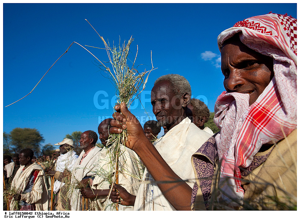 ������, ����������� ����������, ������ ����, ����, ����, ����, ������������� ������, ��������� ������, �������, ���������� ������, Gaada, ����, ���� �������, Gadaa, ������ ���, ������ ���, �����, ��������������, ������������ ����, Img , �����������, Karrayu, Karrayyu, Kereyu, Man, ������ �������, Metehara, Misraq shewa ����, �������, ������ �������, �����, ����������, ����, �������� ����, Stick, ������������ ������, ������������ ��������, �����������, ��������� ������������ ������, Waaqeffata