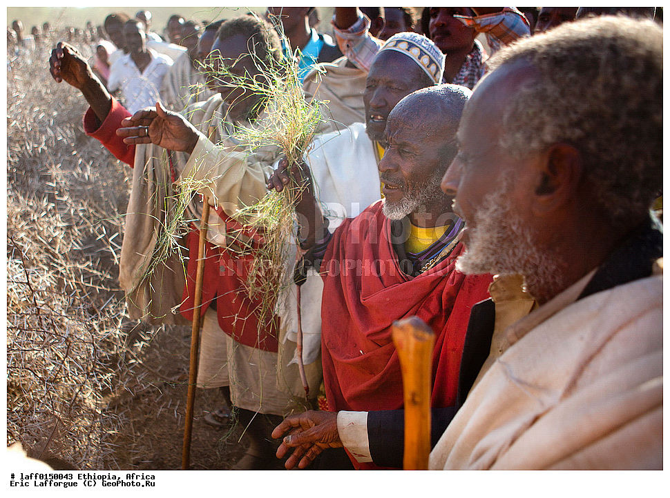 ������, ����������� ����������, ������ ����, ����, ����, ����, ������������� ������, ��������� ������, �������, ���������� ������, Gaada, ����, ���� �������, Gadaa, ������ �����, ������ ���, �����, ��������������, ������������ ����, Img , �����������, Karrayu, Karrayyu, Kereyu, Man, ������ �������, Metehara, Misraq shewa ����, ��������, ������, ������� ������, �����, ����������, ����, �������� ����, ������� �������, Stick, ������������ ������, ������������ ������������������� �����������, ��������� ��������, �������� �������, Waaqeffata, ������