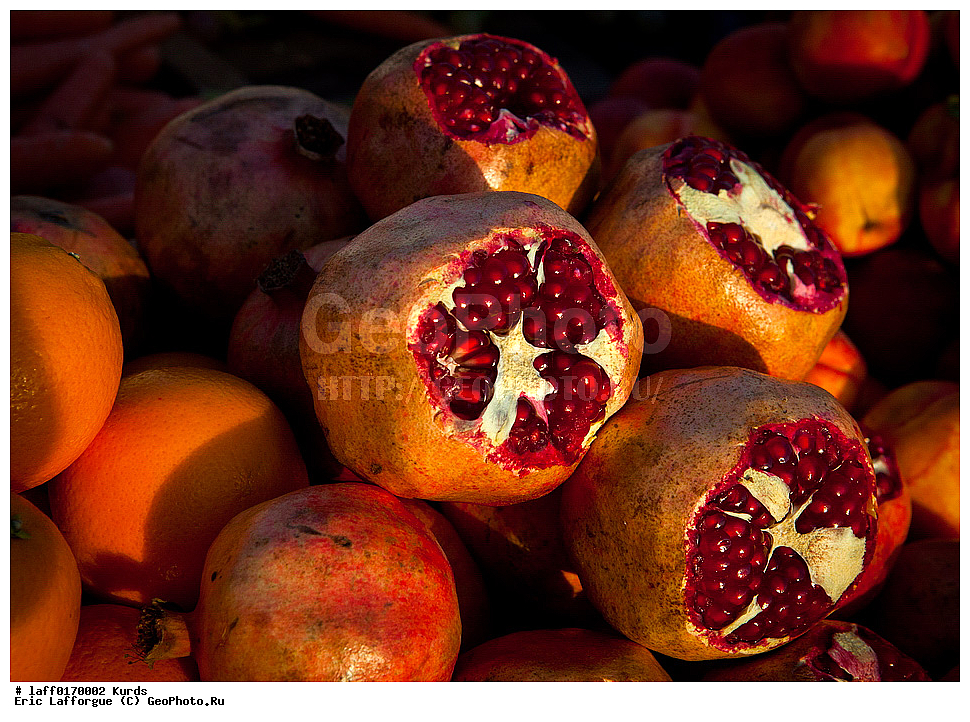 ������, ����, �����, ����� ����, �����, ����� �����������, ����, ������, ��� � �������, ������, ��������������, ����, �������� ���������, ������, ���������, ������� ������, ��� �����, �����, ��������� �����, �� �������� �������, ������, �������