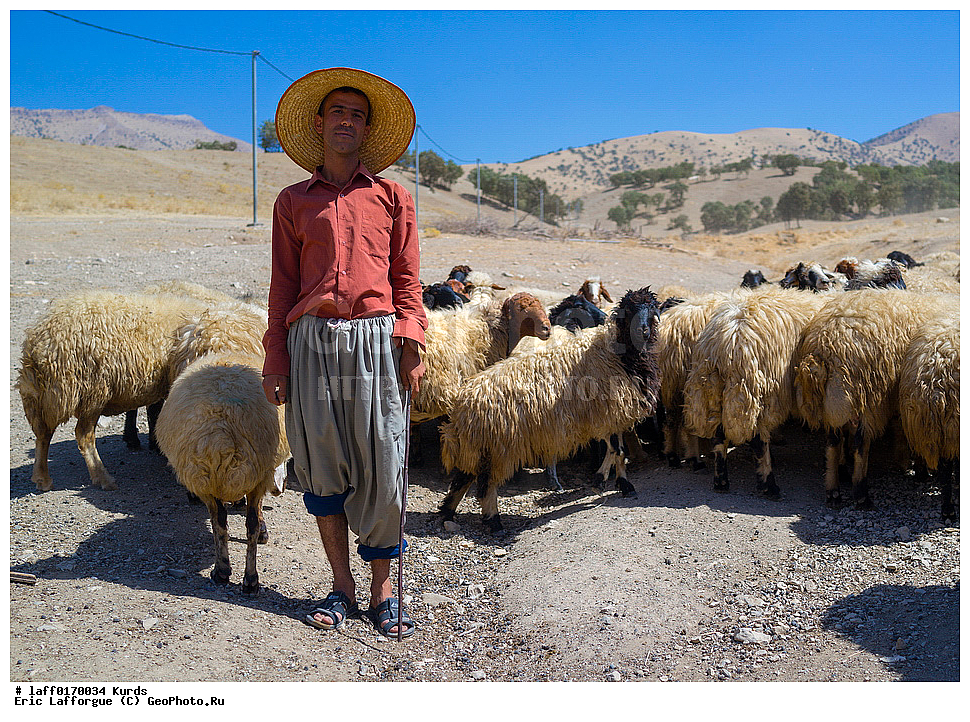 ����, ���������, ������ ��� ��������, ��������, ����, Azaban, ������� �����������, ����, Dsc, �������, ��� �������, ������ �����, �����, ��������������, ����, �����, ��������� ����������, ��������, ���������, ����� �� ������, �������� ����, ������� ������, ����, �������, ������ ���� �������, ���� �������, �� �������� �������, ����, ����, ������, ���������, ������������ ������