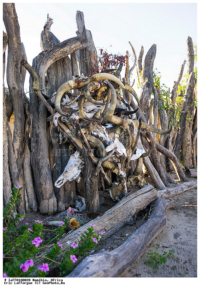 �������, ������, �������� ������