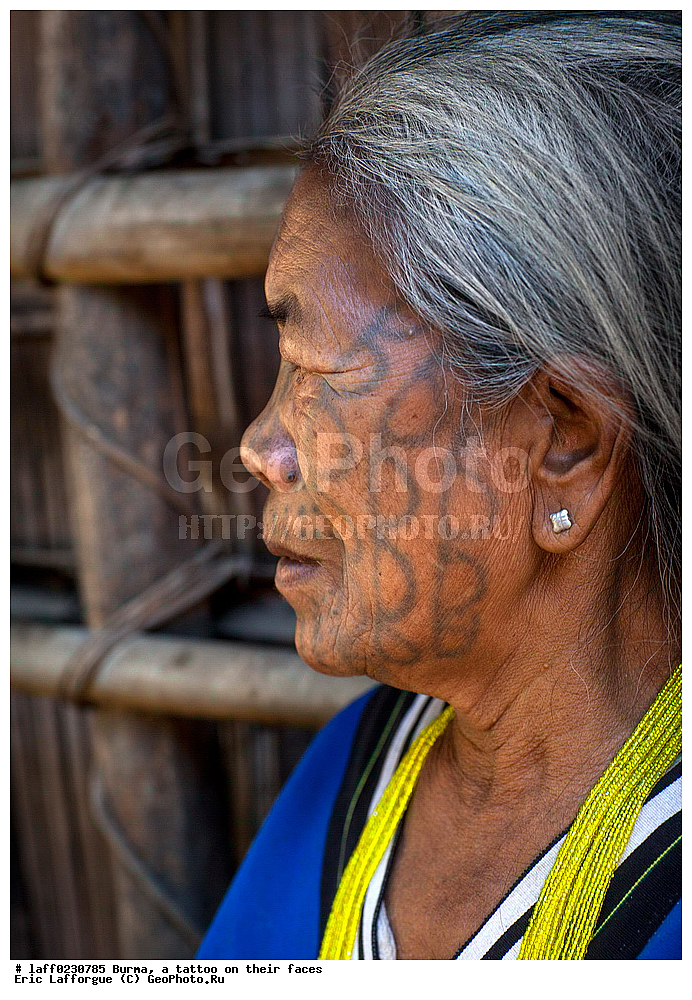 �����, �������, ����������, ����, �������