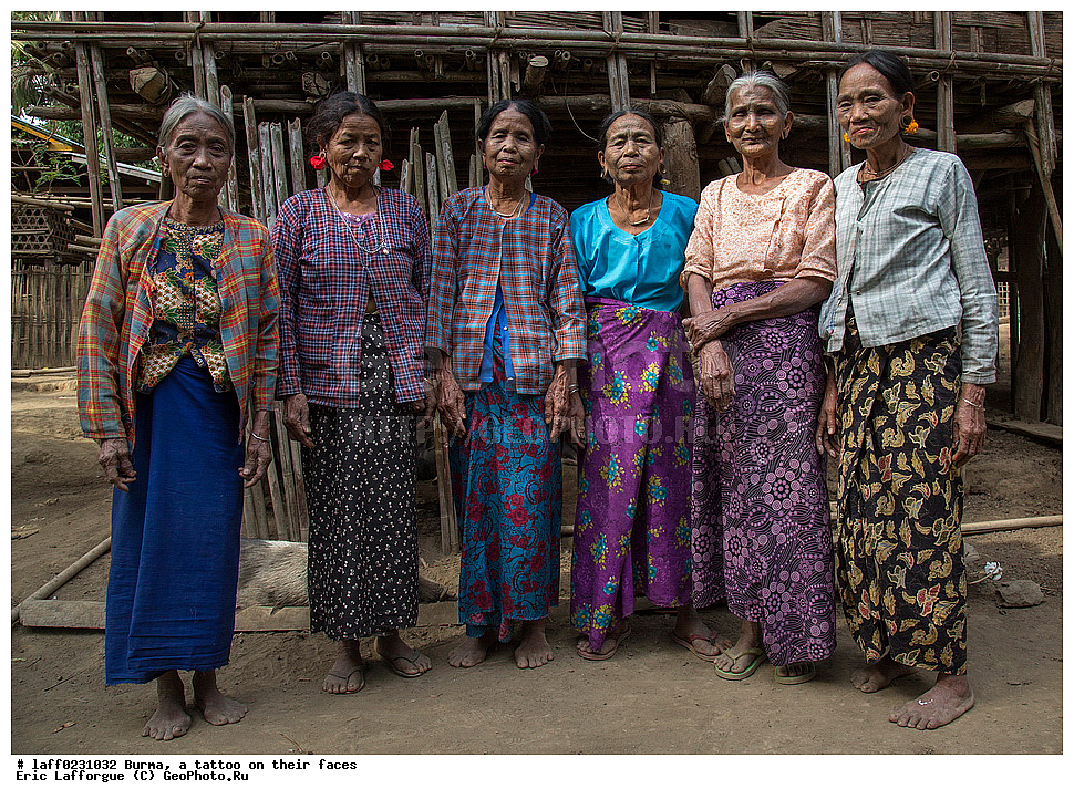 �����, �������, ����������, ����, �������