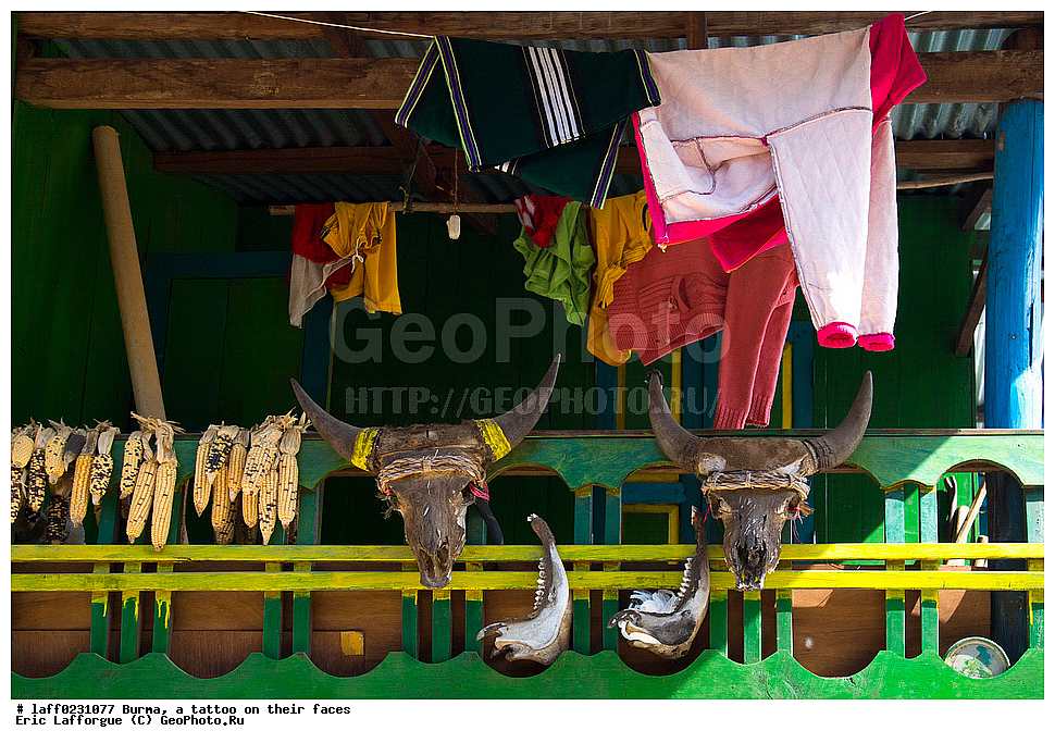 �����, �������, ����������, ����, �������