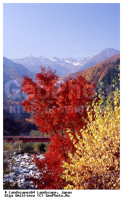 ������, ������, ����, ������, �����, ������