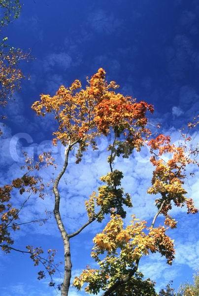 ����� ����, ������, ������, ����, �������, ����, ������, ��������, ����, ������, �����, ������ �����, ��������, ���������� �������