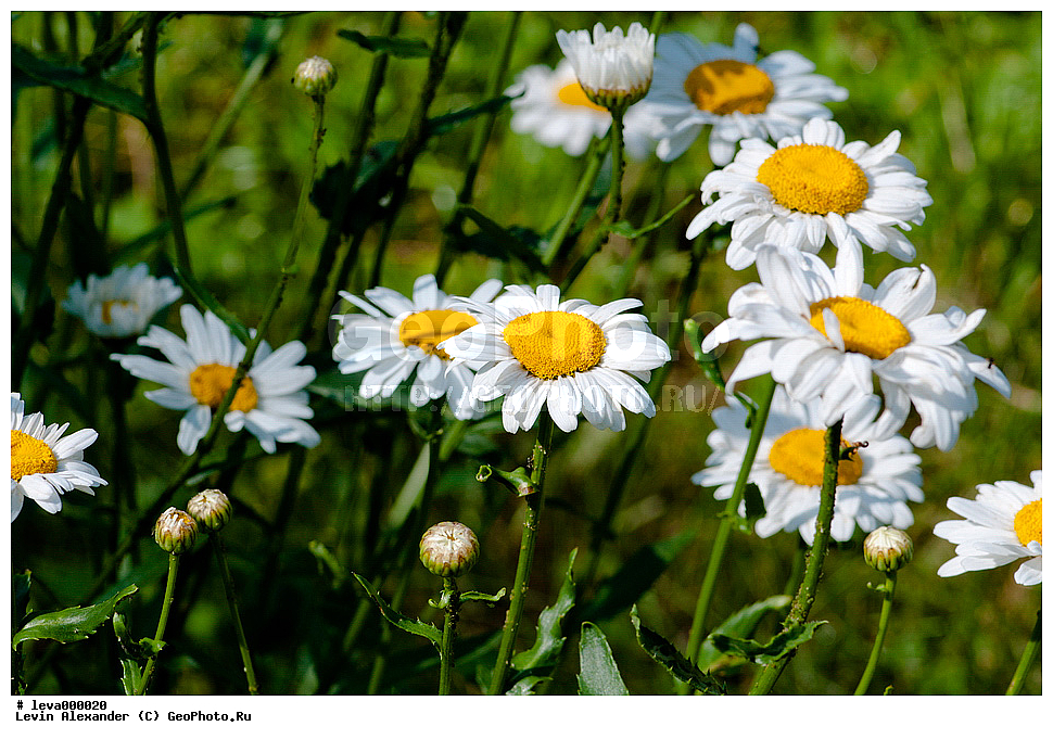 �������,������� �����,������� �����,����� ������,����� ������� ������,�����