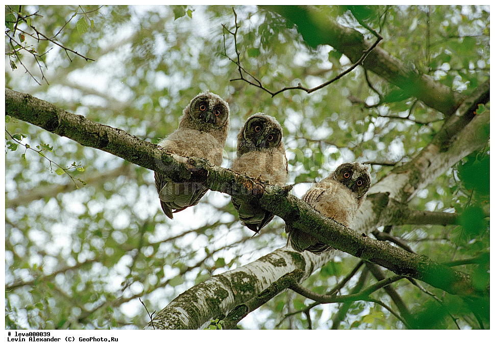 �����,����,���� ����,������ �����,����� ������� ������,������ �����,�������, �������� �������